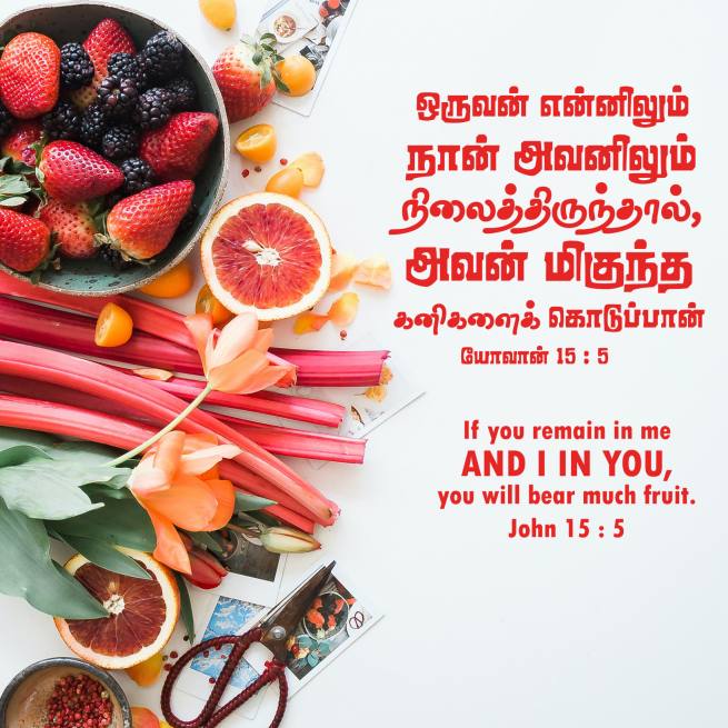 John 15 5 Tamil Bible Wallpaper