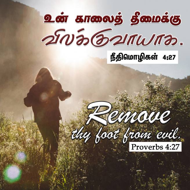 PROVERBS 4 27 Tamil Bible Wallpaper