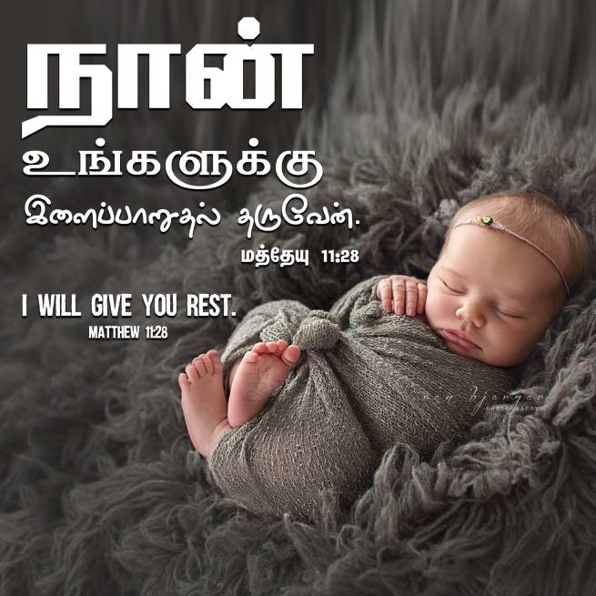 Matthew 11 28 Tamil Bible Wallpaper