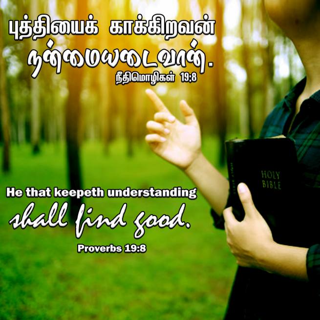 PROVERBS 19 8 Tamil Bible Wallpaper