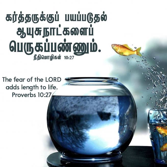 PROVERBS 10 27 Tamil Bible Wallpaper