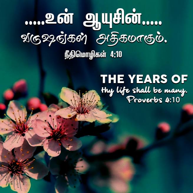 PROVERBS 4 10 Tamil Bible Wallpaper