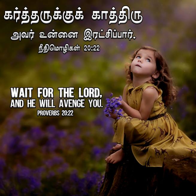 PROVERBS 20 22 Tamil Bible Wallpaper