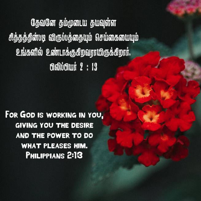 Philippians 2 13 Tamil Bible Wallpaper