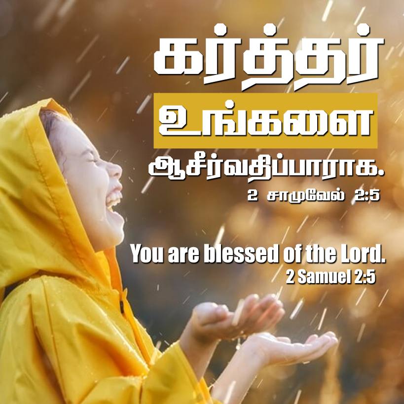 2SAMUEL 2 5 Tamil Bible Wallpaper
