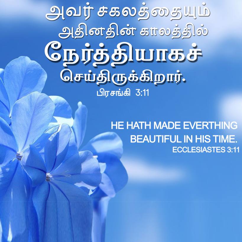 ECCLESIASTES 3 11 Tamil Bible Wallpaper