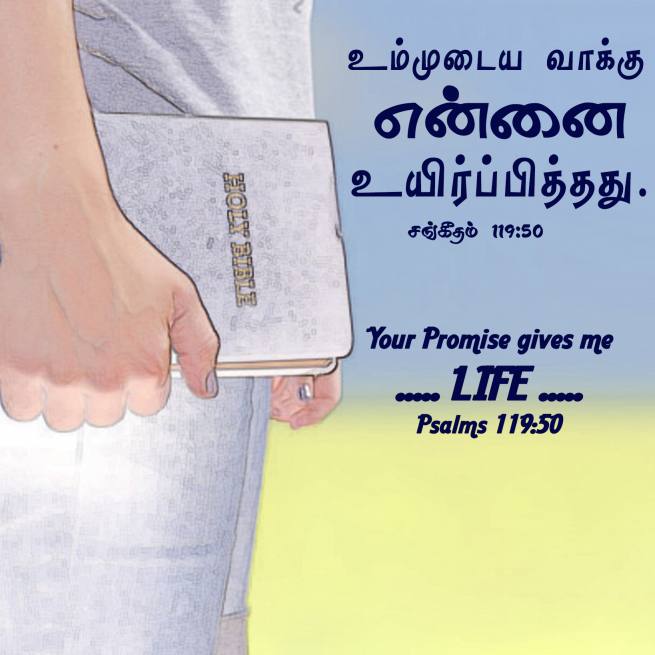 PSALM 119 50 Tamil Bible Wallpaper