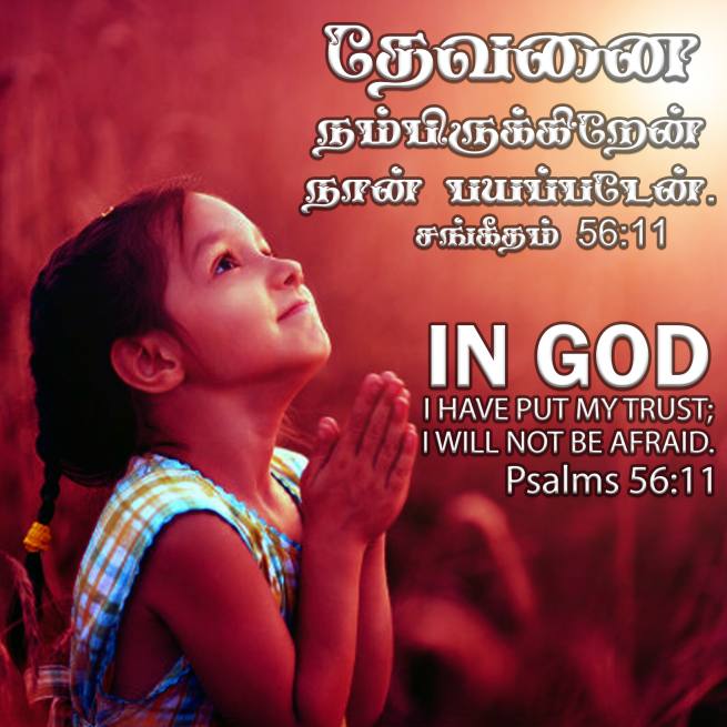 PSALM 56 11 Tamil Bible Wallpaper