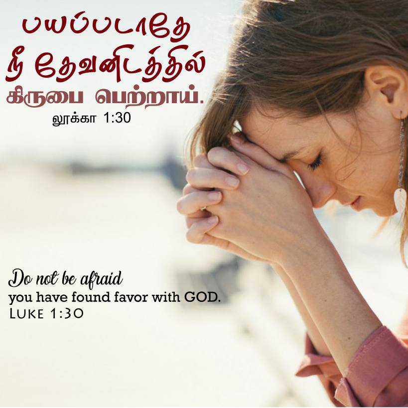 Luke 1 30 Tamil Bible Wallpaper