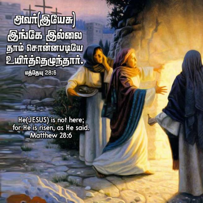 Matthew 28 6 Tamil Bible Wallpaper