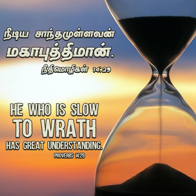 PROVERBS 14 29 Tamil Bible Wallpaper