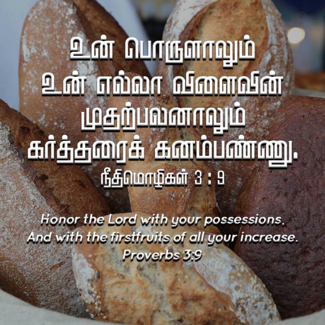 PROVERBS 3 9 Tamil Bible Wallpaper