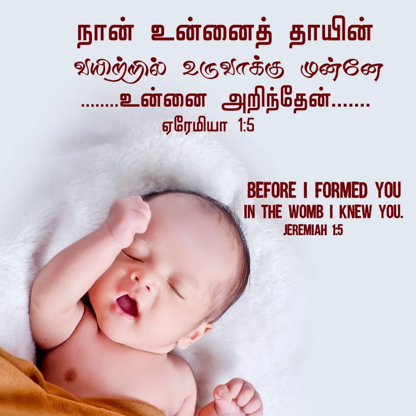 JEREMIAH 1 5 Tamil Bible Wallpaper