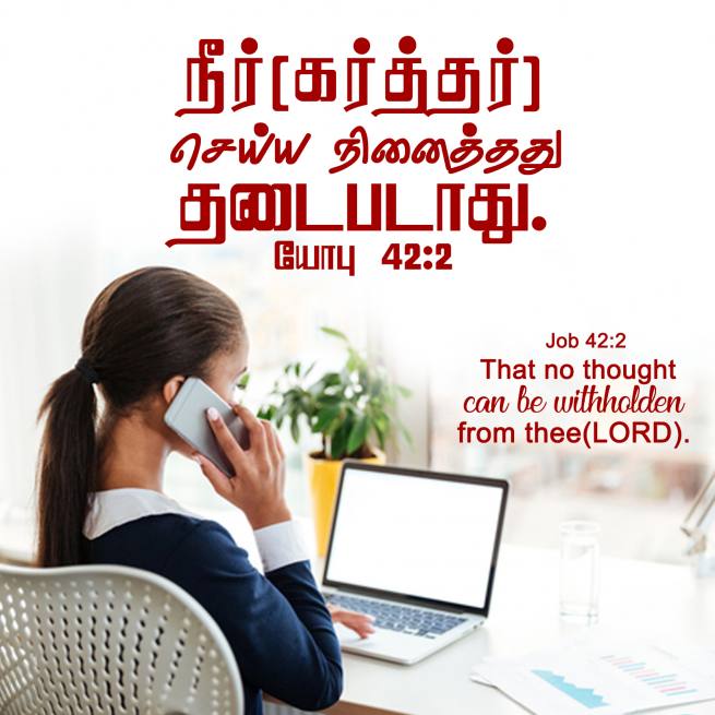JOB 42 2 Tamil Bible Wallpaper