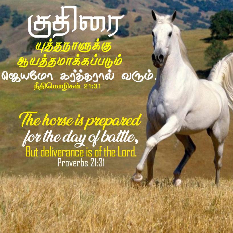 PROVERBS 21 31 Tamil Bible Wallpaper