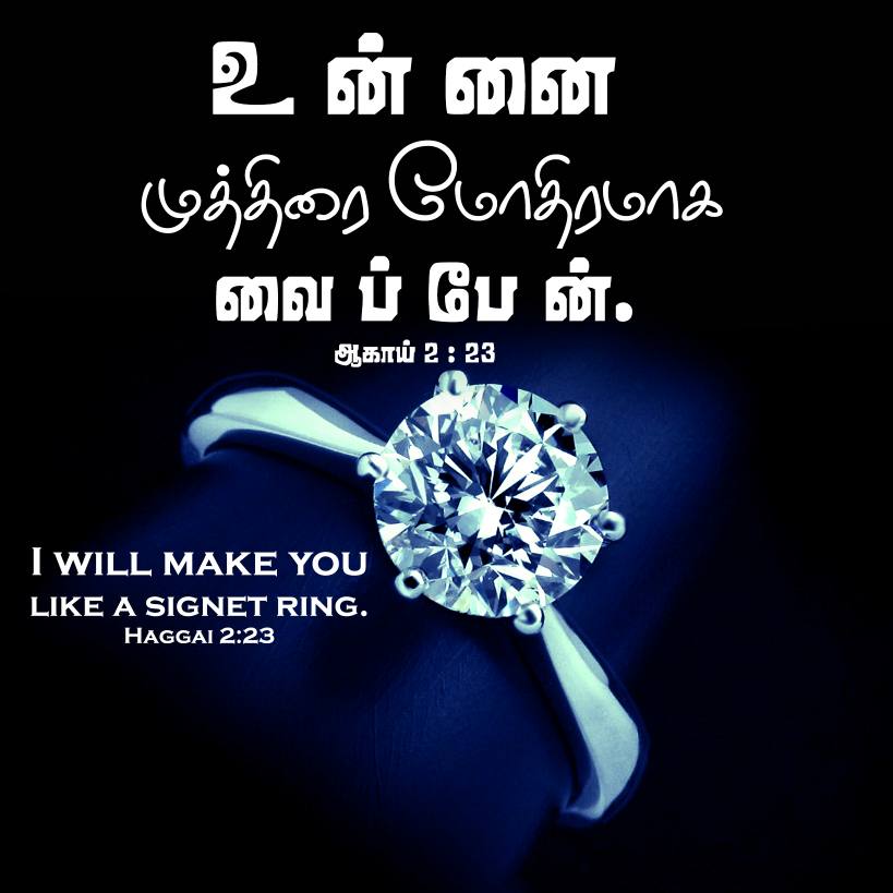 Haggai 2 23 Tamil Bible Wallpaper