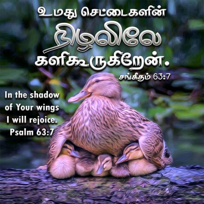 PSALM 63 7 Tamil Bible Wallpaper