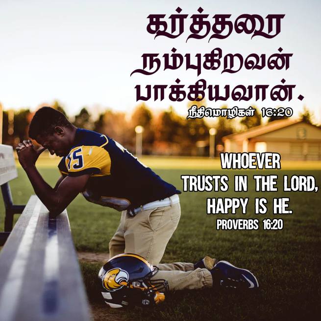 PROVERBS 16 20 Tamil Bible Wallpaper