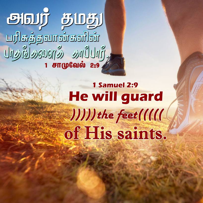 1SAMUEL 2 9 Tamil Bible Wallpaper