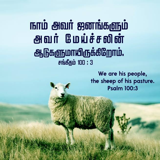 PSALM 100 3 Tamil Bible Wallpaper