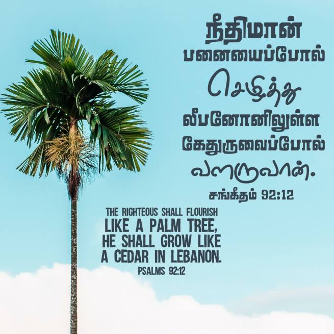 PSALM 92 12 Tamil Bible Wallpaper