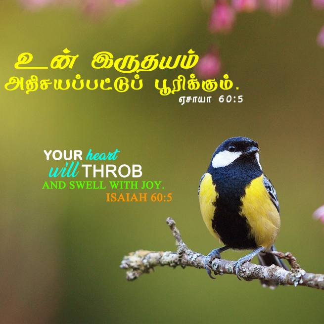 ISAIAH 60 5 Tamil Bible Wallpaper