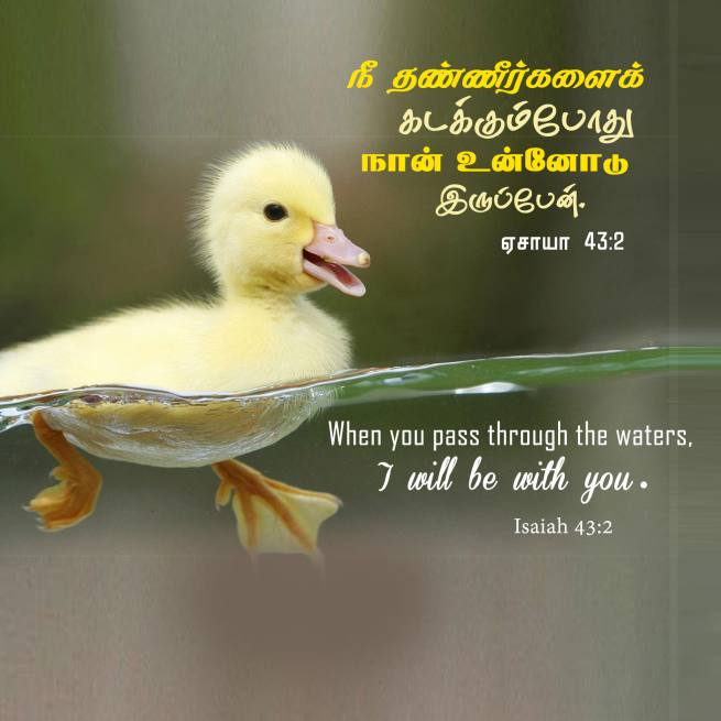 ISAIAH 43 2 Tamil Bible Wallpaper