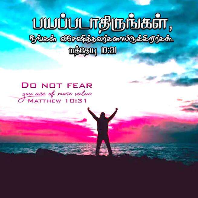 Matthew 10 31 Tamil Bible Wallpaper