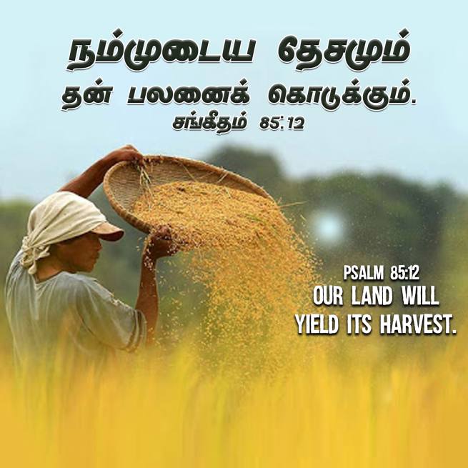 PSALM 85 12 Tamil Bible Wallpaper