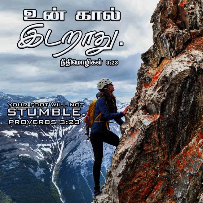 PROVERBS 3 23 Tamil Bible Wallpaper